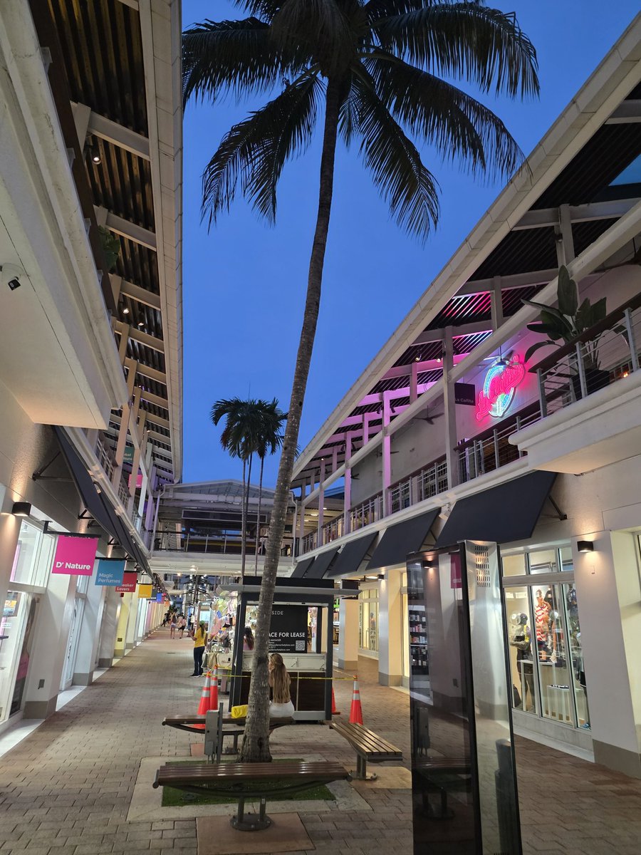 volvoshine's tweet photo. Bayside Marketplace is such a weird mall it's kind of like the schrodinger's cat of malls depending on how you look at it.

Very alive and very dead at the same time 😂
#miami https://t.co/ekVwrzZXd4
