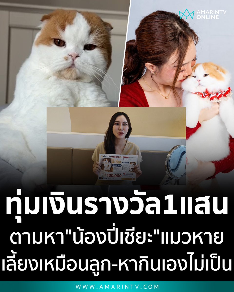 amarintvhd's tweet photo. คุณหมอเชียงรายประกาศทุ่มรางวัล 1 แสน ตามหา "น้องปี่เซียะ" แมวหาย สายพันธุ์สก๊อตติส โฟลด์ เผยเลี้ยงเหมือนลูก ผูกพันเกิดวันเดียวกัน หากินเองไม่เป็น

📌อ่านต่อที่นี่ : https://t.co/mvsHILN761

#ตามหาแมวหาย #แมวหายเชียงราย #น้องปี่เซียะ #รางวัลหนึ่งแสน #ทาสแมว #สก๊อตติสโฟลด์ #ตามหาเจ้าของ #เวียงชัยเชียงราย #AmarinTV #amarintvonline #ข่าวอมรินทร์ออนไลน์