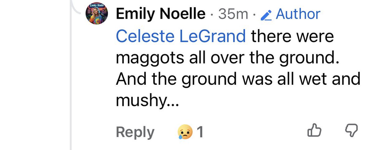 TrueCrimeBelieb's tweet photo. TRIGGER WARNING ⚠️ Death/Possible decomposition 

A woman on Facebook has gone to the area where a body matching Elena Moore’s description was found. This is what she said…

“I just viewed the location where they found Elena Moore's body. It was very obvious (for many reasons) that she had been laying there for days.”

She also said that you can’t tell in the photo but this is a 12 foot drop. 
#elenamoore #missingperson #lexington #southcarolina