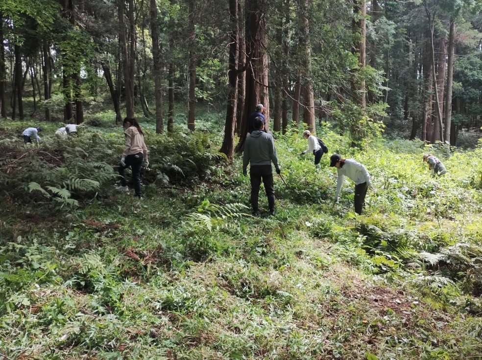 u_biodiversity's tweet photo. 戸祭山緑地で協働の一歩🍃
自然保護に取り組む市民団体と事業者をつなぐ「うつのみや生きものつながり活性化事業」
6月(公財)ｸﾞﾘｰﾝﾄﾗｽﾄうつのみやとﾄﾖﾀｳｯﾄﾞﾕｰﾎｰﾑ(株)が連携し，緑地保全活動を行いました✨自然を守る取組の輪を一緒に広げてみませんか。
https://t.co/S07g08wWqB https://t.co/WAemLKYzaF