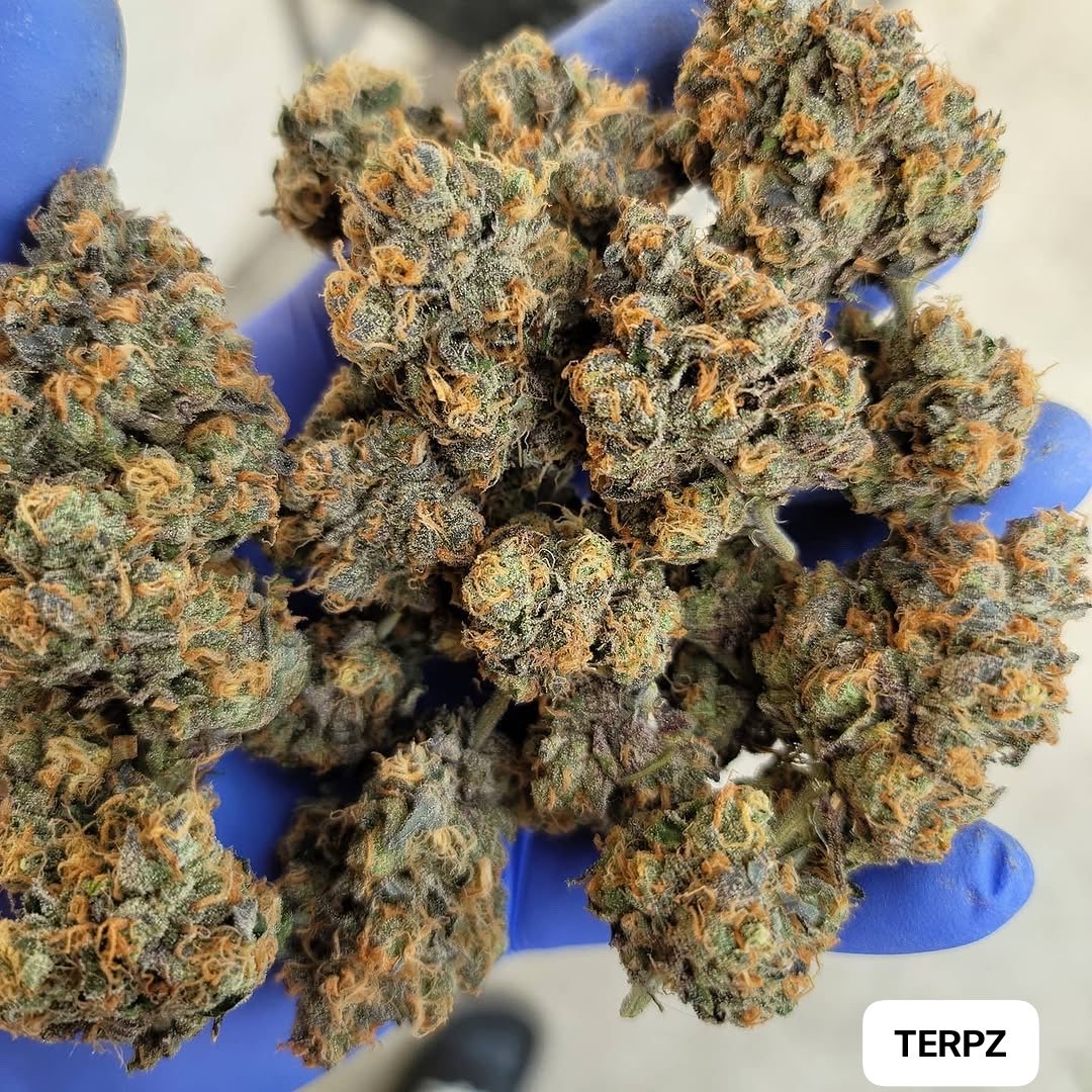 jamesbryan0420's tweet photo. LPC75. London Pound Cake 75. The smell and flavor on this one hit different 🔥 https://t.co/sx3YYVD0oN