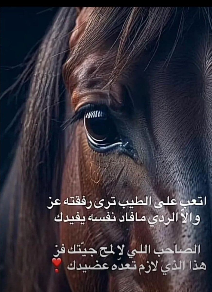 RASEES_99's tweet photo. #جبر_الخواطر https://t.co/vh5FhHrGWQ
