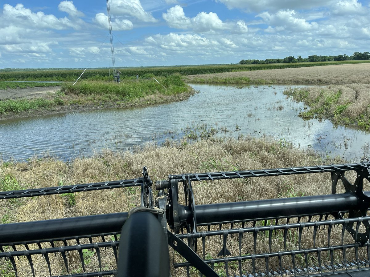 Engineer_Farmer's tweet photo. 2 pics that perfectly summarize #wheat #harvest26 #MuddyMess https://t.co/KEJ4qzWFh5