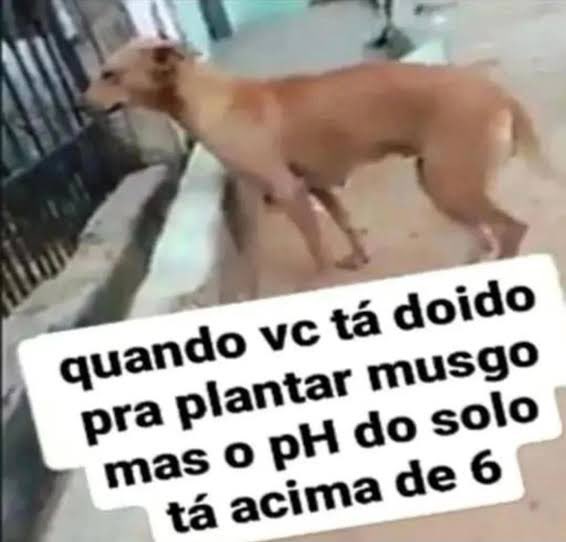 mxelllkkkk's tweet photo. qnd vc ta doido pra tratar uma taquiventricular mas nao sabe que a amiodarona pertence a classe III de vaughan-williams https://t.co/3ifClBCMgG