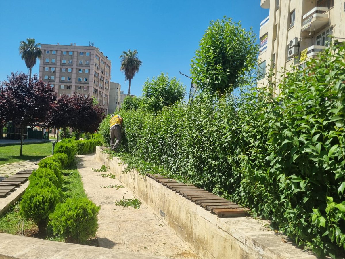 SbbPark's tweet photo. Park ve Bahçeler Dairesi  Başkanlığına bağlı ekiplerimiz;👷🚧👷

Tüm alanlarımızda form budama çalışmalarını hız kesmeden sürdürmektedir.🌳✂️🌲

@sanliurfabld 
@MithatCanKutluc 
@halilaldeniz_ 
@sukrukaracads 
@musadokuz_ https://t.co/kRNJZHJ1LO