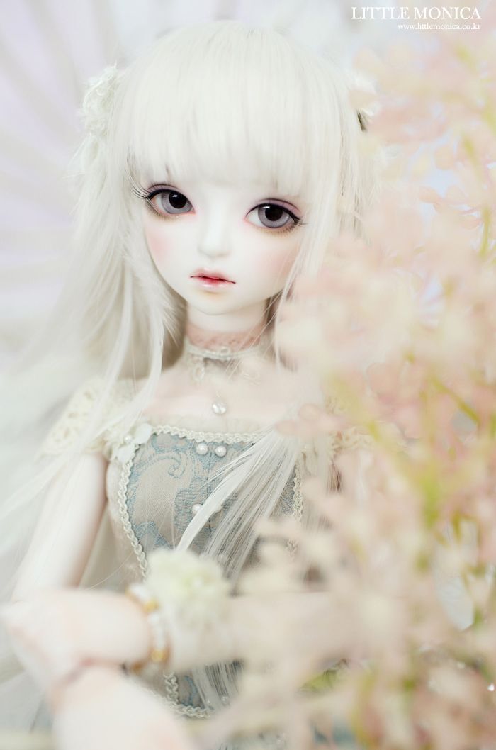 即納情報】 LITTLE MONICAから『Little Sophia』のご紹介です