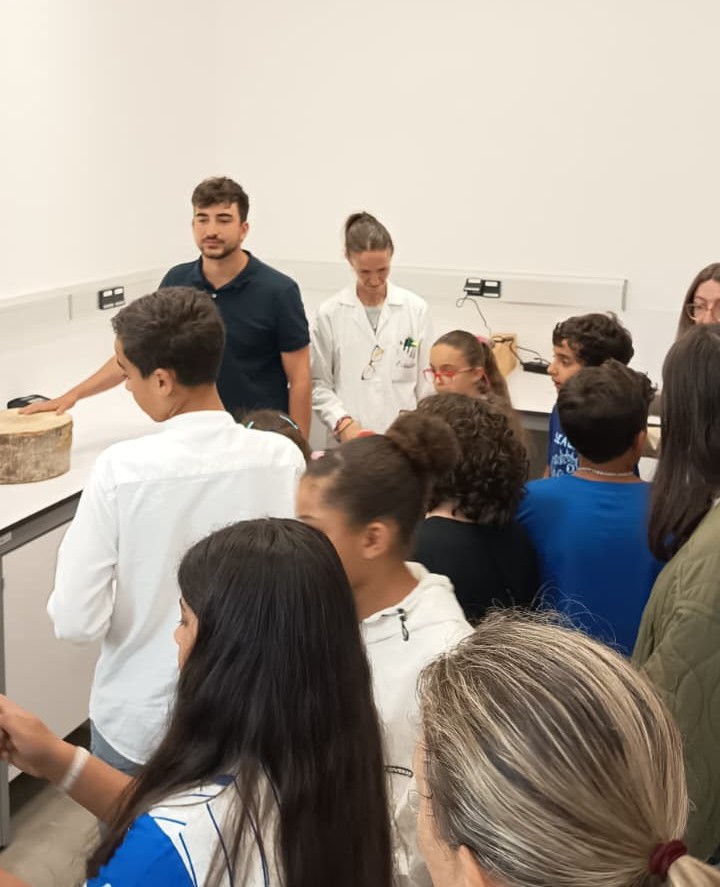 CETEMAS's tweet photo. 🌲Ayer recibimos en @CETEMAS la visita del alumnado del CEIP Carbayín Bajo
Conocieron la importancia de los bosques y su gestión, las aplicaciones de los drones y la geomática, y el potencial de la madera y los bioproductos para un futuro sostenible🛩️🌳🪵
¡Gracias por la visita! https://t.co/UsyNrY8nK1