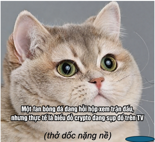 rajaaron225's tweet photo. @CoinExVietnam #MatchDayMemes https://t.co/ATxLSTNRPM