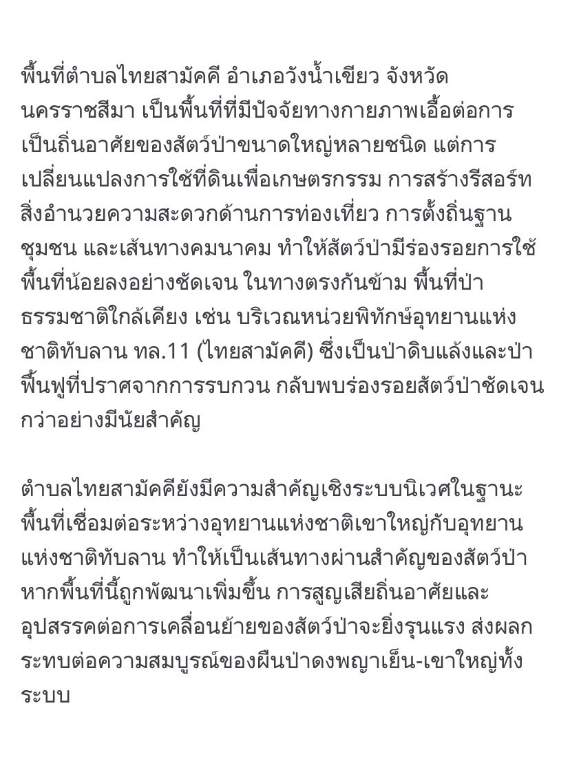babybabe ྀི tweet media