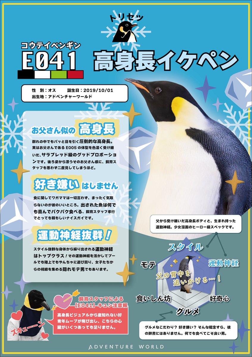 aws_official's tweet photo. ／
コウテイペンギン19羽の
個性溢れる「トリセツ」を特設サイトで公開中！✨
＼

アニマルエデュテイナーが毎日一羽一羽と向き合ってきたからこそ分かる、リアルな性格がギッシリ詰まってます！今回はこちらの2羽をピックアップしてご紹介します！

【識別番号：E041】
🐧 高身長で運動神経抜群！少女漫画のヒーロー級スペックの持ち主✨
【識別番号：E042】
🐧誰もが羨む「洋ナシ体型」！コウテイペンギン界のグラマラスクイーン🍐