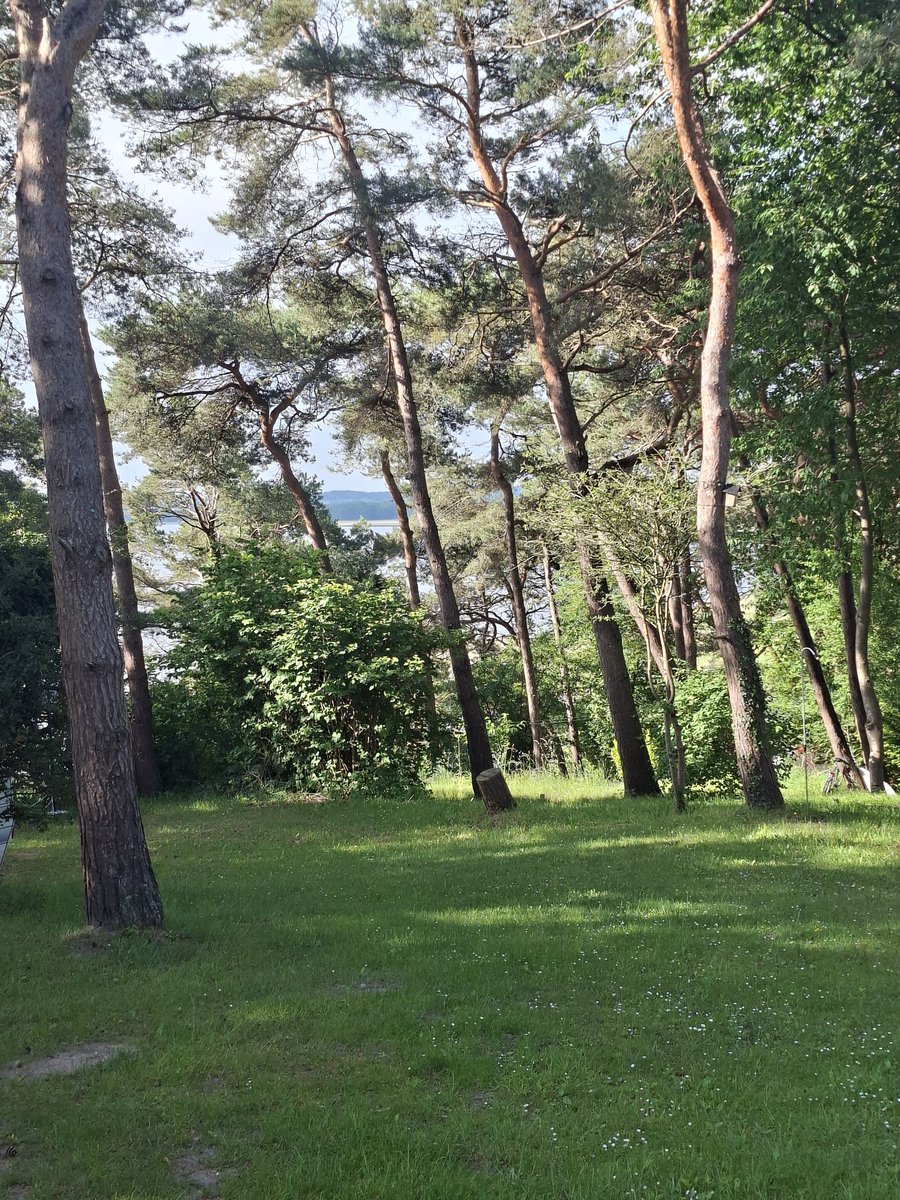 IdaStinkts's tweet photo. Guten Morgen!
Der Blick vom Frühstückstisch!
Mit Sonne und mit ohne Regen!
Und der #RackerTilli ist auch wohlauf. 
🤗🍀😘 https://t.co/qLjd0SQATG
