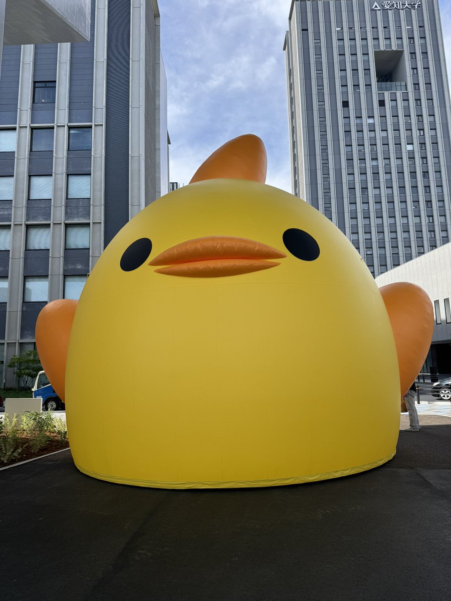 Tanpyokun's tweet photo. でけえよ、ぴよりん https://t.co/UakAHgiTyV