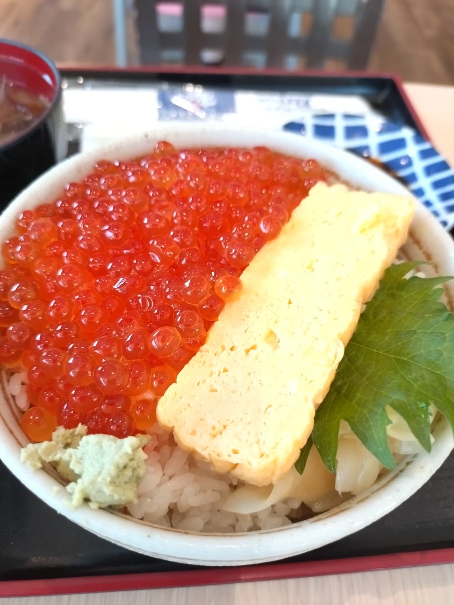 snowdrop42737's tweet photo. ☆ウマウマ丼(⁠◕⁠ᴗ⁠◕⁠✿⁠) https://t.co/driaoGmdE7