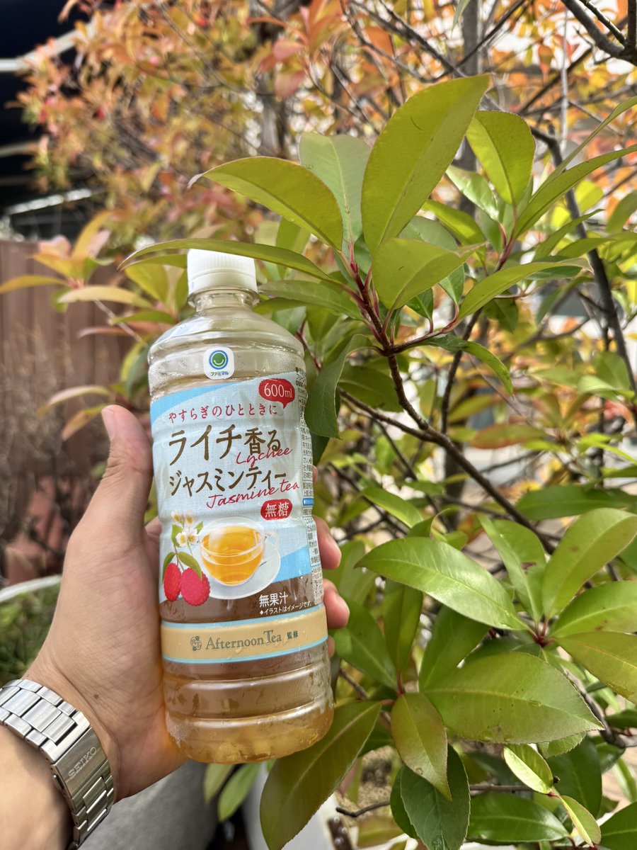 hryu_1130's tweet photo. 美味しい飲み物発見👀 https://t.co/rBZIn1az15