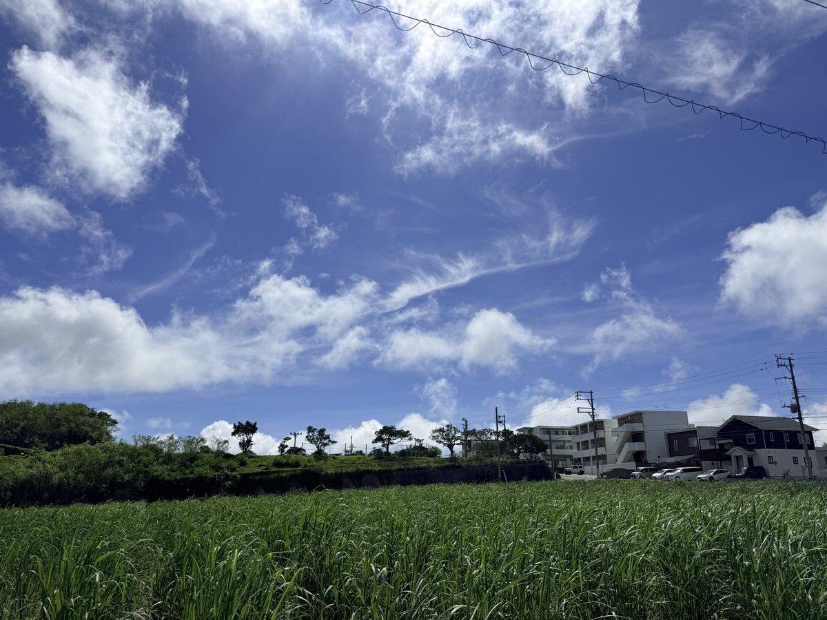 kaihoumitu's tweet photo. 高温多湿で不快指数が高い https://t.co/uUPZr0YuH2