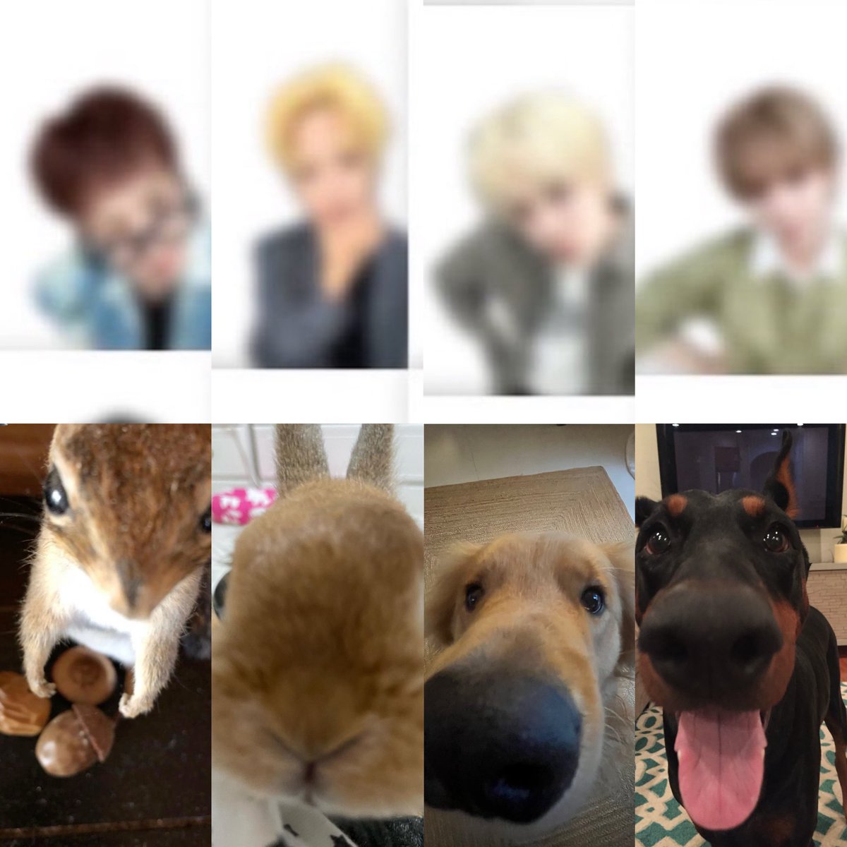 AM2THL1U's tweet photo. i love 0.5 camera angle https://t.co/unyHEwieUY