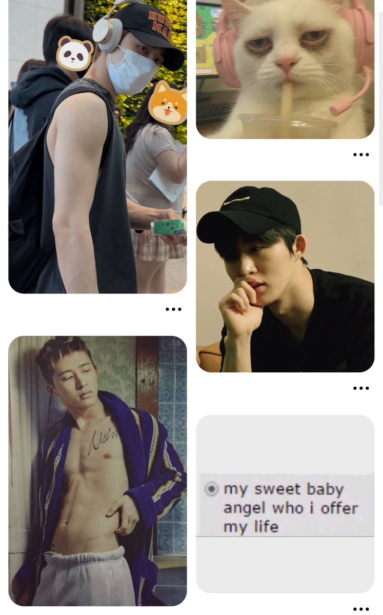 tbvhanbin's tweet photo. First four images when I open Pinterest

* the 5th image is a fact https://t.co/KhHAjkARrZ