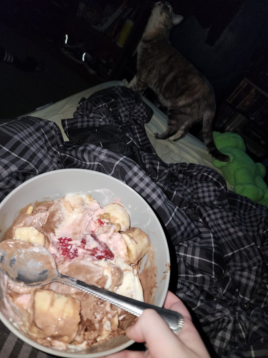 terazakiis's tweet photo. dog and ice cream https://t.co/CBuNSpRrfU