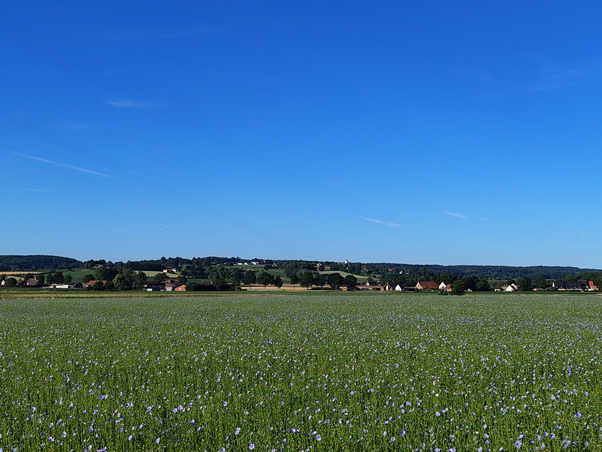 DammekeI's tweet photo. #vrtweer Kluisbergen 18/06 8h05 https://t.co/MzvM0Z5sB1