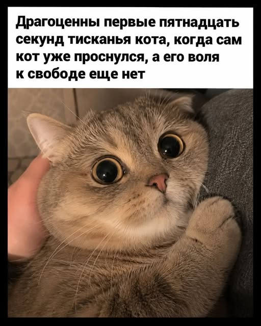 elena_p2017's tweet photo. https://t.co/M62ev0tvq6