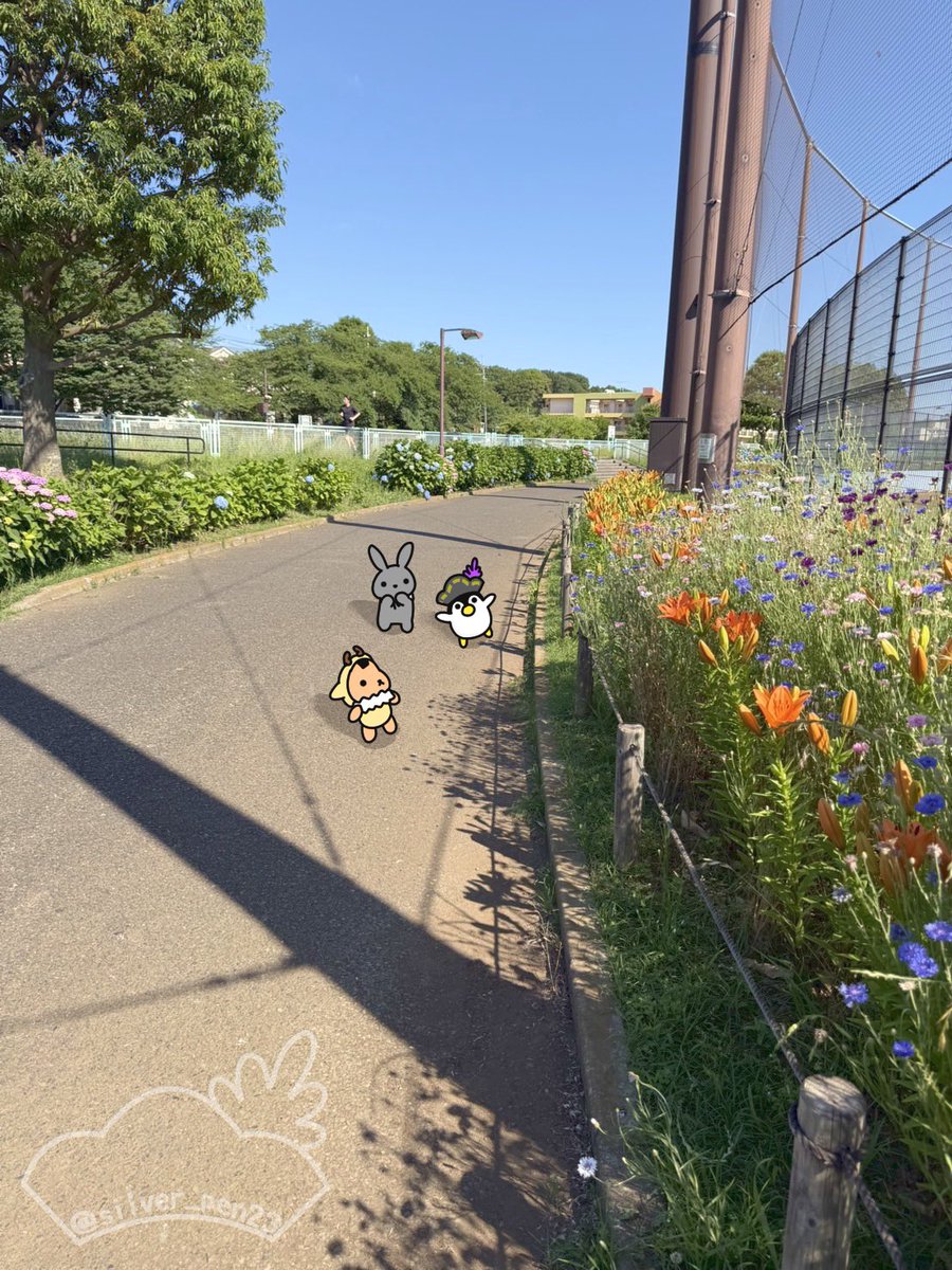 silver_pen23's tweet photo. きれいだね！ https://t.co/egAcbgjRWw