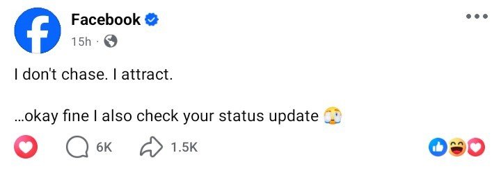 shai tweet media