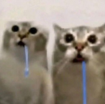juanddaaa's tweet photo. me estoy imaginando la llamada telefonica entre estos dos y debe ser tipo como un rejunto de neuronas sueltas sin hacer sinapsis pegadas con cinta americana son esto https://t.co/IvjHMNkhlS