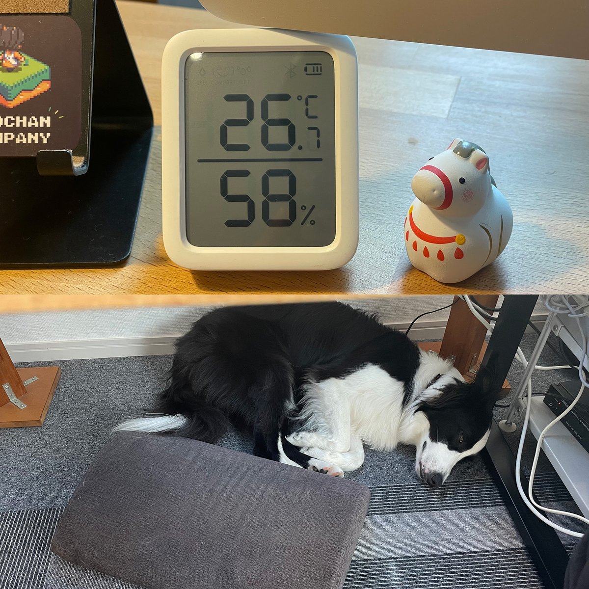 kensight328's tweet photo. あれから1年、仕事部屋で電気コードとかにイタズラを一切しなくなったので一緒の部屋でエアコンの恩恵に授かることができている。節電できて私も快適に過ごせてとても助かる。 https://t.co/tj0oXLLZ91