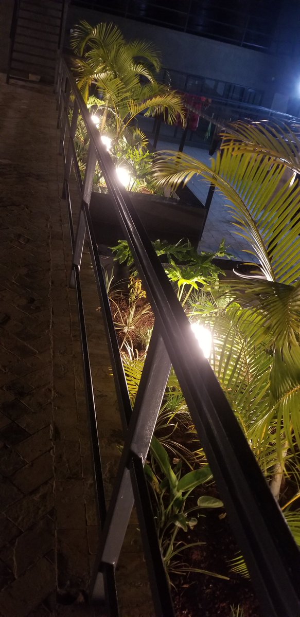 el_squared10's tweet photo. Show me something green on your gallery
Show off your lens 
@SamsungMobileKE https://t.co/ssnP0Eq9dK