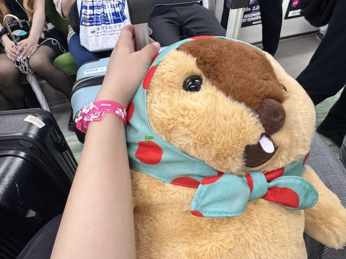 KBBC_Mako's tweet photo. 帰ります〜！✈️
会ってくれた西野家のみなさんお世話になりましたっ😆
また次のツアーで会いましょう👸❤️ https://t.co/nlWZUmHBCr