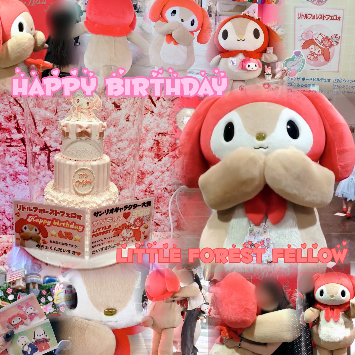 O229_O618's tweet photo. めろぉきゅん♥️ お誕生日おめでとう🎂🌟
思い出も写真もアップデート🆙させてね➰📷💭💓
世界🌏でいちばん☝🏻幸せ💞になってね😭🩵
だいすきだよ(ᐢ⸝⸝>̶̥̥̥��� ·̫ <̶̥̥̥᷅⸝⸝ᐢ)꜆꜄💕

#リトルフォレストフェロォ #めろぉ https://t.co/w0RnASVUip