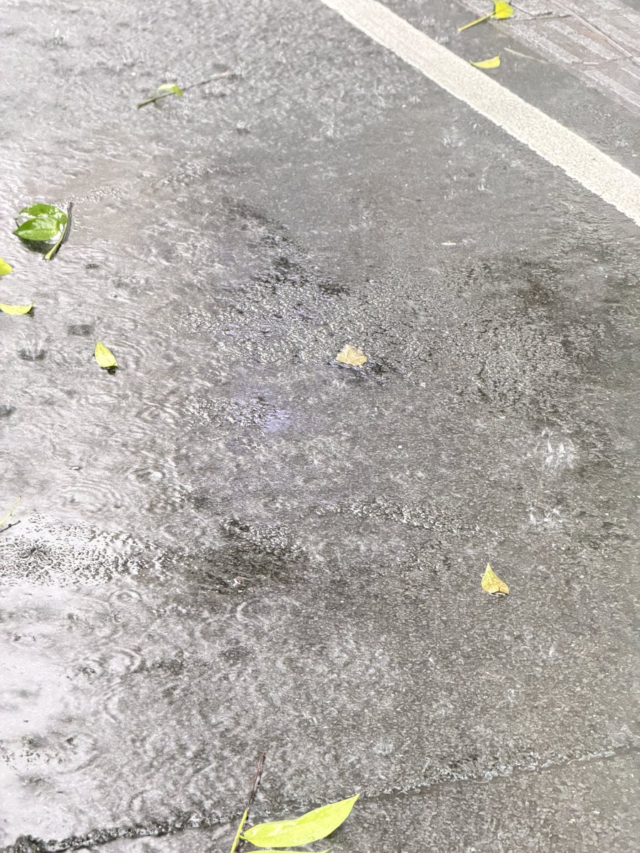 Ustinian028's tweet photo. 下雨关我健身什么事啊 https://t.co/Ub1pmkF9ey