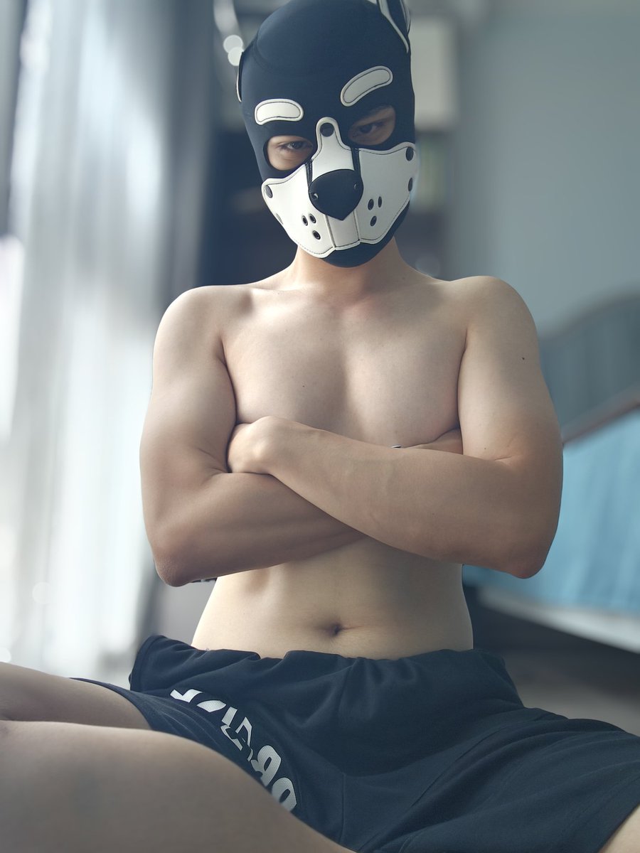achubbyopossum's tweet photo. 沦为欲望的奴隶🥴 https://t.co/sfBIXfEuC0