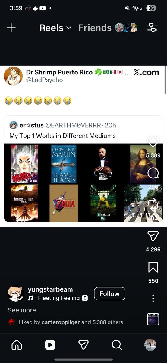 sean tweet media