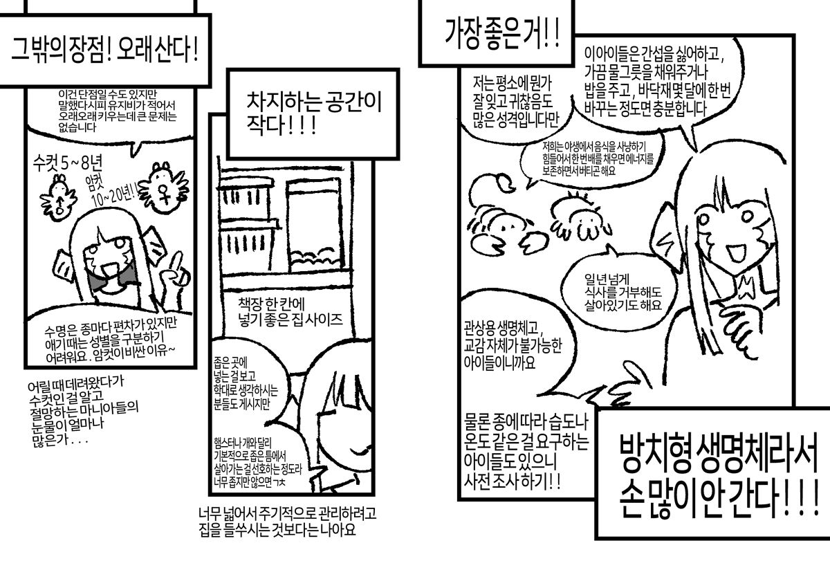 만화커미션 연 쓰비🌱 tweet media