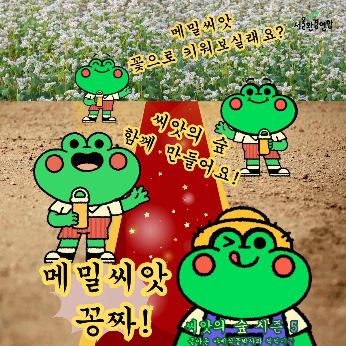 seoulkfem's tweet photo. 메밀씨 무⭐️료⭐️분⭐️양⭐️중🙋