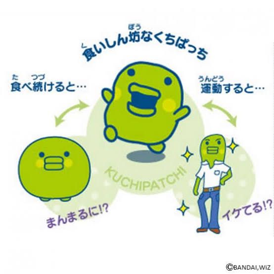 ➎➊ tweet media