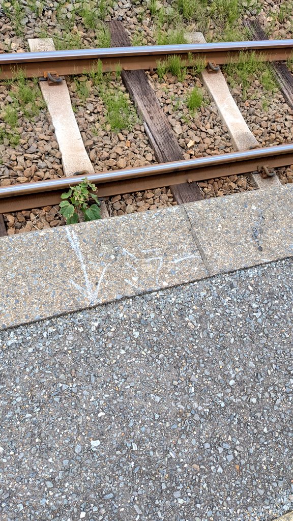 Kiha30_55's tweet photo. 2両停目とホームミラーの設置準備？
大入駅にて https://t.co/ExiCkVnrTz