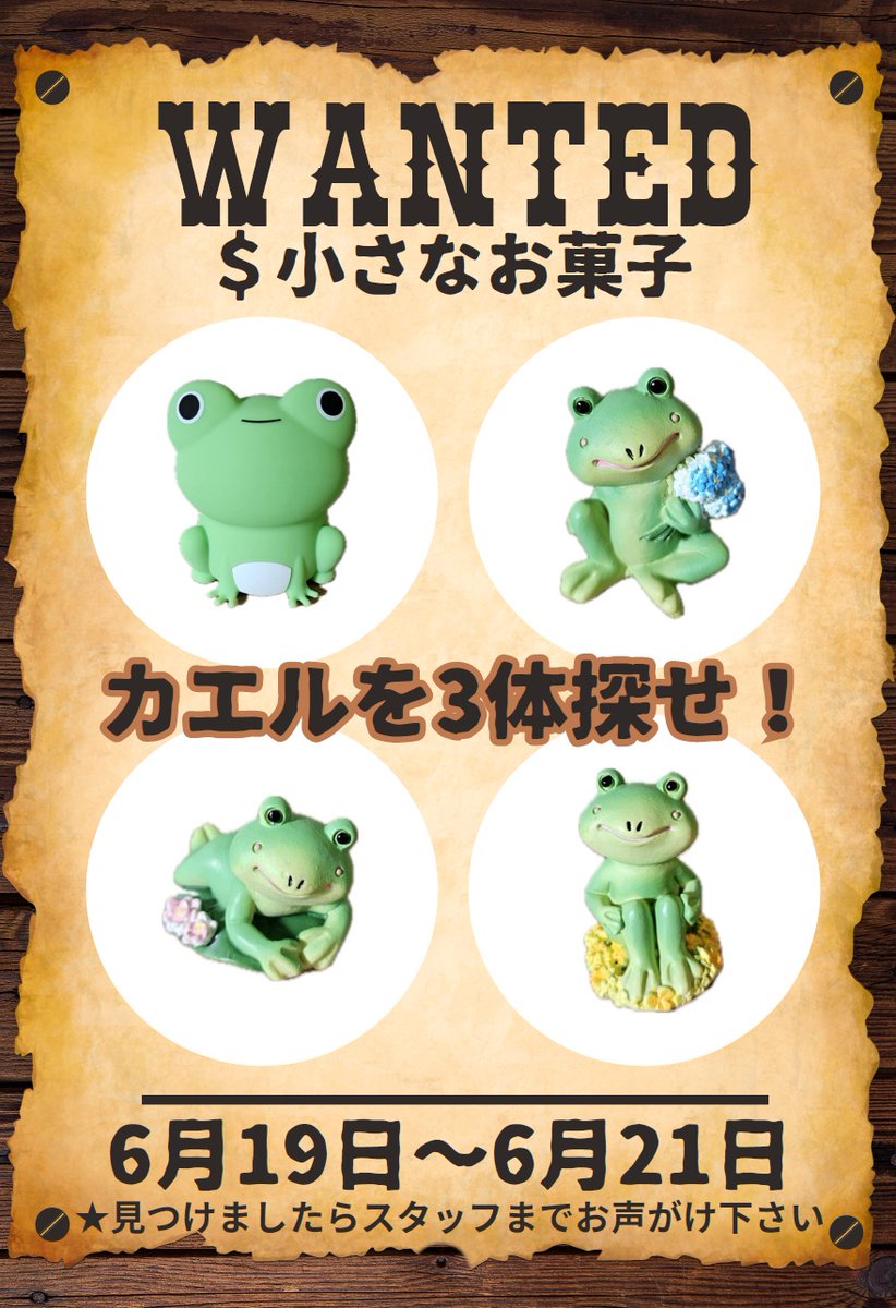 なに‼』6月19日(金)～21日(土)まで 【カエルを探せ‼】キャンペーンだと