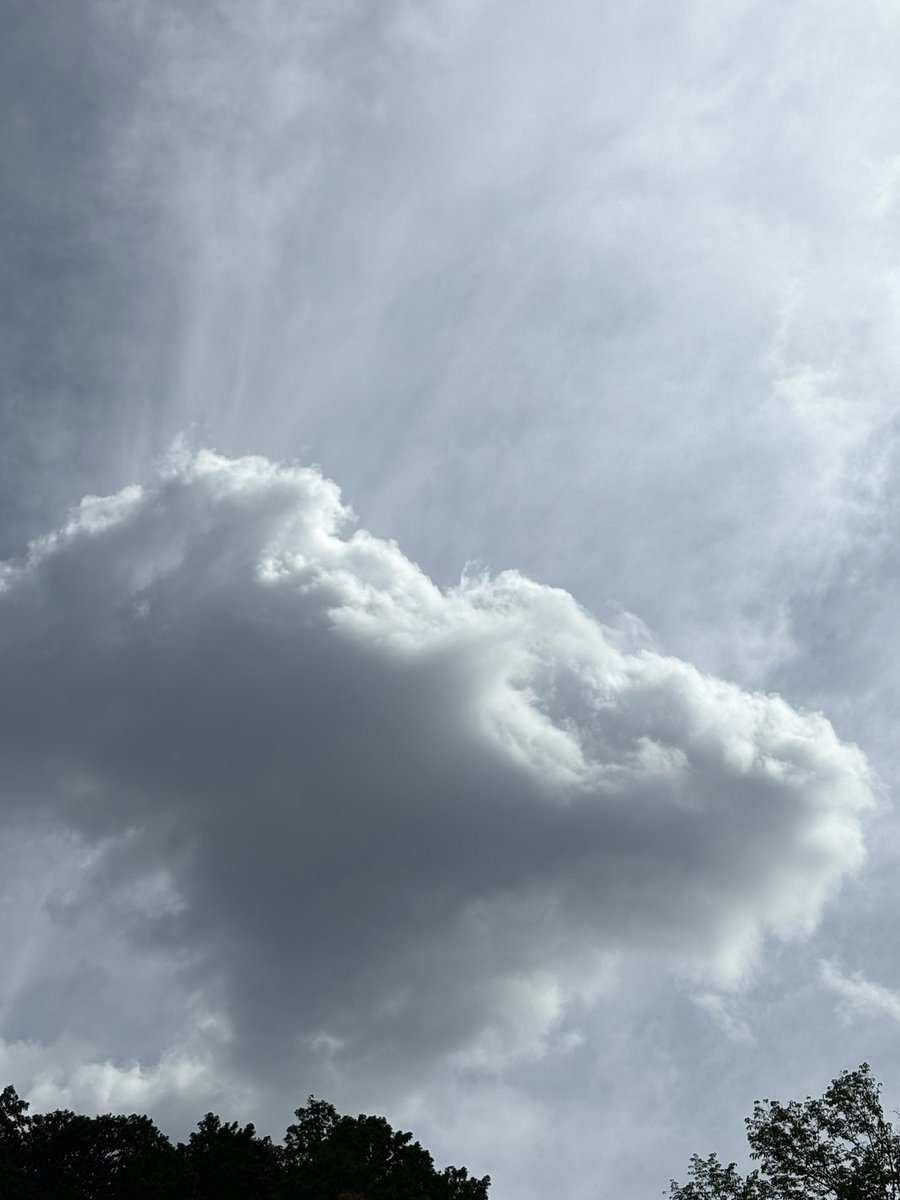 noceTesoro's tweet photo. ＃イマソラ https://t.co/LkfuzHckMi