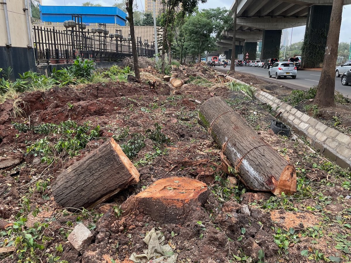 chriskost's tweet photo. @MissNasike Sad story indeed. It's especially frustrating that the road authorities cut trees that aren't in conflict with the carriageway and could provide shade for pedestrians and cyclists. https://t.co/XkvCKAAea4