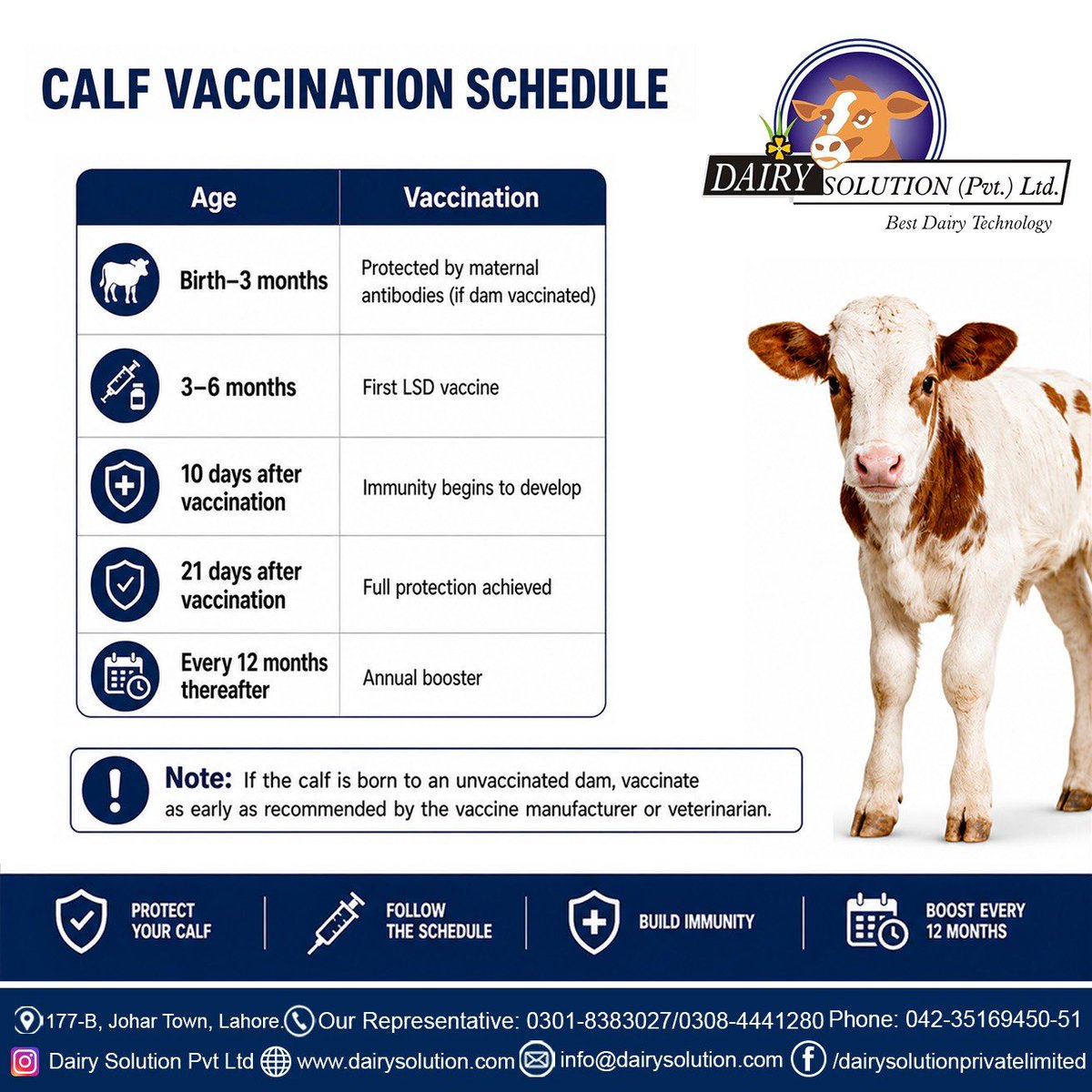 PvtDairy's tweet photo. A healthy herd starts with timely vaccination. 🐄

Protect today. Prevent tomorrow. Follow the vaccination schedule and keep your cattle and buffaloes healthy all year round.

#HealthyHerd #Vaccination #DairySolution #Livestock #DairyPakistan https://t.co/hC5wVVgBYS