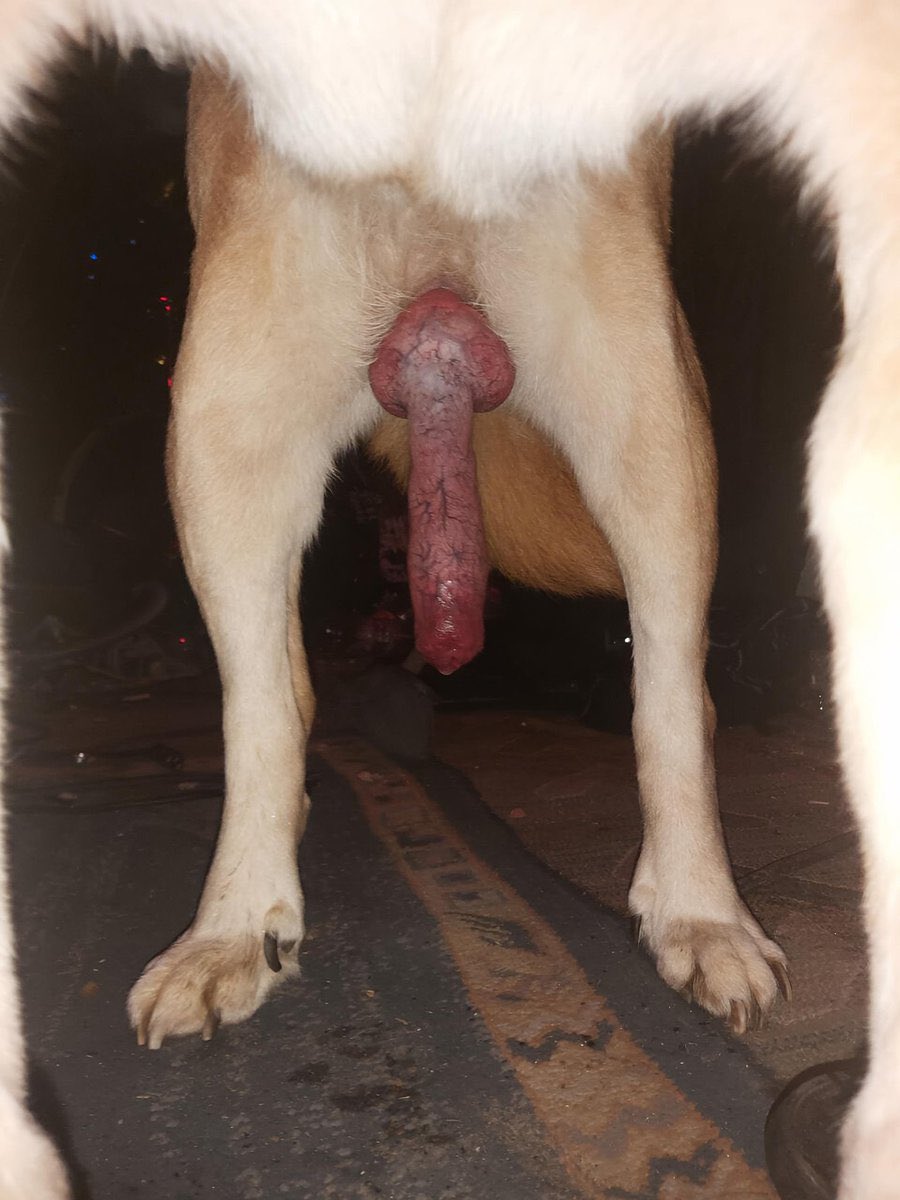 alb3343's tweet photo. Who wants to suck 🥵❣️💦

Tap me here 
https://t.co/GIPPzWxxUJ https://t.co/8vBA7nkyak