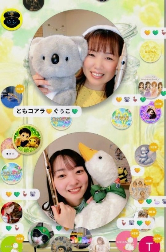 satomiyaz's tweet photo. ✨フルキャン🪈🍬「２人ライブ」、
✨４人と違った楽しさ満載でした‼️✨

フルキャン🪈🍬ライブ
✨あめのち、フルキャン☂️🪈🍬✨
✨第一弾 !! ともこ 💛✕ ももか💚 回 ✨

……が、ワイワイ楽しく終わりました！
✨「２人ライブ」良いです💖‼️🎉✨✨

【セットリスト】
💚 やさしい悪魔 / キャンディーズ
💛 ハンガリー舞曲 第５番 / ブラームス

【💚ももか先生のレッスン−特殊奏法−】
       💛津軽海峡冬景色（サビのみ）

💚 くるみ割り人形より「中国の踊り」 / チャイコフスキー
💛 キャラバンの到着 / ミシェル・ルグラン

※ 演奏 💛 ともこさん、💚 萌々香さん

💖 素晴らしい選曲たち
事前予告通り、ともこさんがバスフルートで有名な『ハンガリー舞曲』を！
重く大きいバスフルートを軽快に吹いてくれました！

そして、萌々香さんは、ピッコロで『くるみ割り人形より「中国の踊り」』を！
これがピッコロにぴったりハマりました。

昭和の歌が大好きな萌々香さんは、キャンディーズの『やさしい悪魔』を！
昭和世代は、みんな歌ってました。

そして、ともこさんによる『キャラバンの到着』！
いつもは、「美しい」、「穏やか」、「染みる」、「泣ける」、などのコメントが多いともこさんですが、この曲は「カッコいい！」だらけでした！
（S ぽんさんは、いつも通り泣いてたと思いますが…）
ともこさんの新たな魅力を発見しました！

💖  お互いをどう思ってるか…
二人が相手の印象を語ってくれました。

💚 萌々香さんが語る、💛 ともこさん
🔸優しく声をかけてくれて嬉しかった。
🔸グラデスタジオに３人が出た時のバナーの顔が、ともこさんだけ小さかった。それを言ったところ「私はこれでいいのよ」と。
「私が！」と前面に出ない遠慮がちな人。
🔸年下なのに、ずっと優しくしてくれる。
🔸とにかく大好き💖✨✨✨

💛 ともこさんが語る、💚 萌々香さん
🔸色々と率先して動いてくれる。
🔸色々なアイデア出しもしてくれる。
その他、色々言いましたが、結局、
🔸可愛い！！！💖✨✨✨

💖 ももか先生の楽しい授業
ももか先生得意の「超絶技巧」「特殊奏法」のうち、「特殊奏法」をともこさんにレッスンしました。
曲は、「津軽海峡冬景色」！
ポイントは、３つ？

① 口を上下に動かすポルタメント！
吹いてる口（唇？）を上下に素早く動かして音程を少し変える。

② 人の声で「ウー」と言う、フラッター！
吹きながら実際に「ウー」と言うらしい！

③ ハーモニクス

ももか先生のお手本の後、2〜3分練習をして、ともこさんが吹いたところ、
ももか先生は、100点‼️🎉✨
確かに上手かったです！！！

💖 「２人ライブ」の良さ
４人と違って２人だと自由度が高く、臨機応変に何でもできる。
また、話もじっくり聞けます。
これからも、色々な組み合わせで、２人配信をやってほしいです！

💖 ともコアラ、ぐぅこ、初対面！
来たばかりのともコアラ（仮）が、初めてぐぅこに会いました。
萌々香さんも、ともこさんも、ぐぅこ、ともコアラを大阪に連れて行くとのこと！ 全員集合が楽しみです！

💖 大阪リアルライブ
大阪リアルライブの詳細出ました！
フルキャン🪈🍬ページ（↓）内に、チケット購入のリンクあります。
……秒で買いました！！！ 

フルートキャンディーズ🪈🍬 | corom(コロム)
https://t.co/mVjyRY2nn1

…
そして次は、次女💜三女🩷
🌈 6/29（木）20:00-21:00
✨あめのち、フルキャン☂️🪈🍬✨
✨第二弾 さえ ✕ はつね 💜🩷 ✨

flutistともこ | corom(コロム)
https://t.co/MGDQun2D1Y

また、楽しいですよ！！！

✨✨✨🐨✨🐢✨🐧✨🪿✨✨✨

フルートキャンディーズ🪈🍬
  @flutecandies 
  長女 💛 flutistともこ @flutisttomoko  
  次女 💜 いせさえ @saeflutepiano  
  三女 🩷 田中初音 @hatsufl0216 
  四女 💚 越中萌々香 @moflute_usa 

#コロム #フルートキャンディーズ #フルキャン #４姉妹 #ともこさん #さえさん #はっちゃん #ももかさん  #宴会アイコン  #ふわふわ #最強軍団 #ともコアラ #カメタロウ #ぐぅこ #はつぺん #フルキャンでZeppへ  #２人配信 #ももか先生のレッスン  #カッコいいともこさん