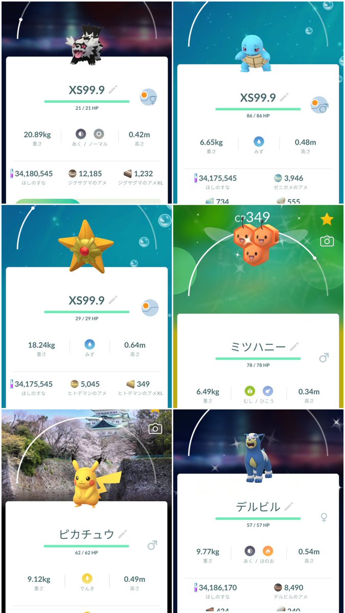 ANoappi's tweet photo. やっと……背景ピカチュウ◢(●'▽'●)◣
まっ色違いは出ませんよーだ(´・ω・｀)ꉂ🤣𐤔 https://t.co/KoLbd7pgkx