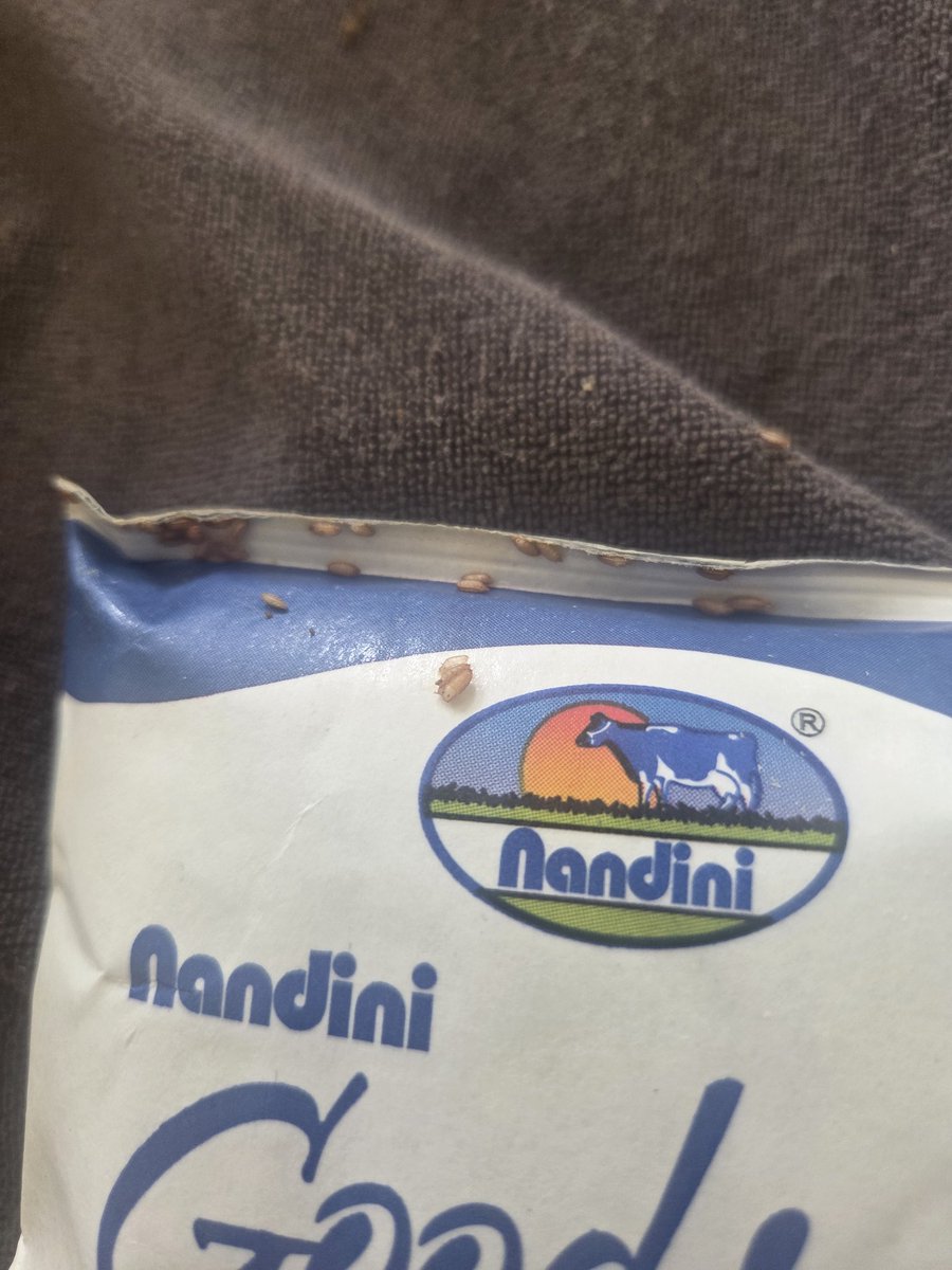iamParthJindal's tweet photo. WTH @instamart_it, Ordered a milk pouch and there are just maggots on it 😳 https://t.co/9G0CrQYU65