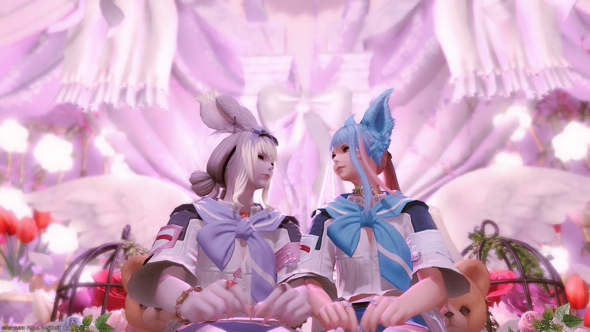 mimamimi_8's tweet photo. かわいすぎるスタジオでSS🎀
#cham_studio #FF14SS #ミコッテ #ヴィエラ https://t.co/foloqeOUJr