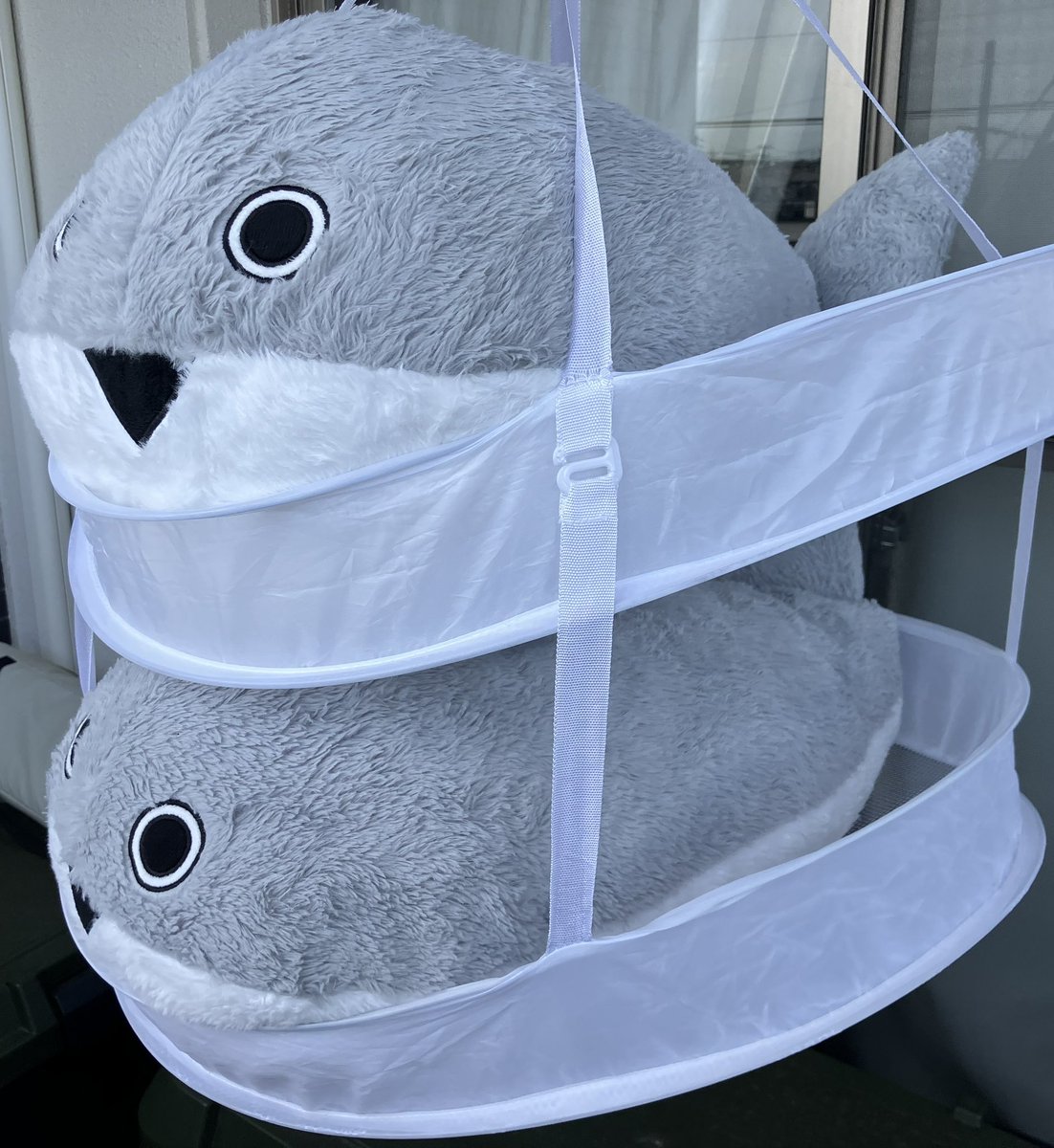 sa1535's tweet photo. 洗った。（約70㎝のピス×2） https://t.co/UgIJodMXHg