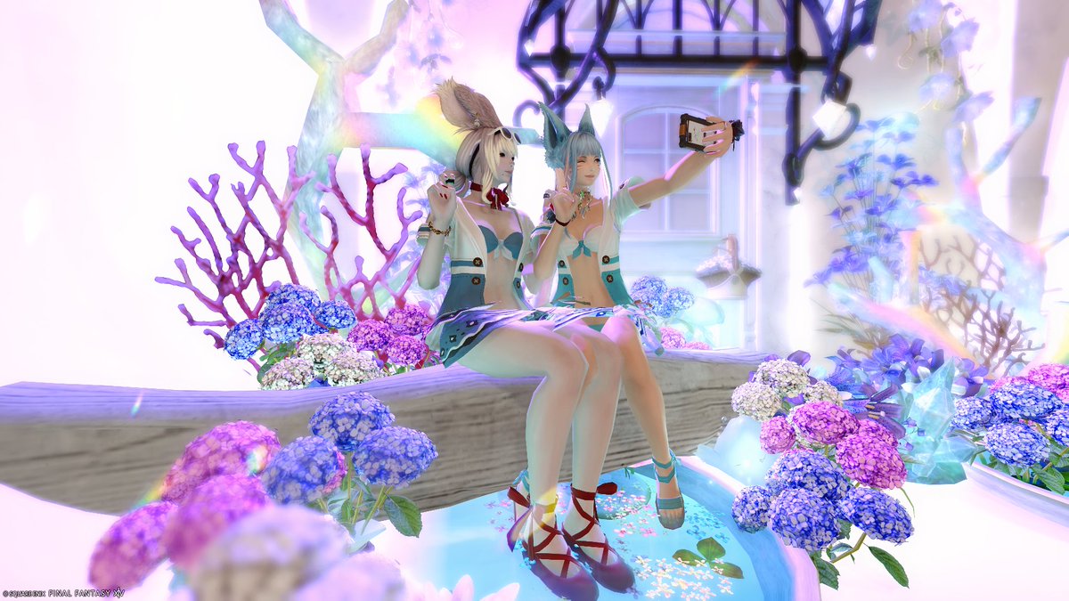 mimamimi_8's tweet photo. かわいすぎるスタジオでSS🎀
#cham_studio #FF14SS #ミコッテ #ヴィエラ https://t.co/foloqeOUJr