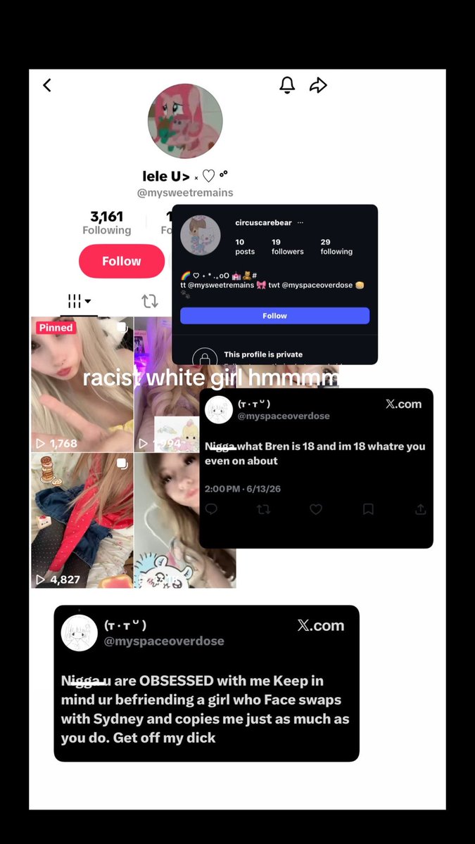 🐭🪽🐭🪽 tweet media